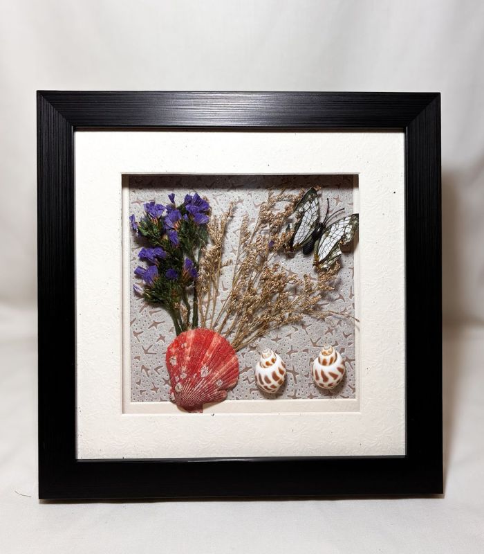 Cuadro Natural de Caracoles